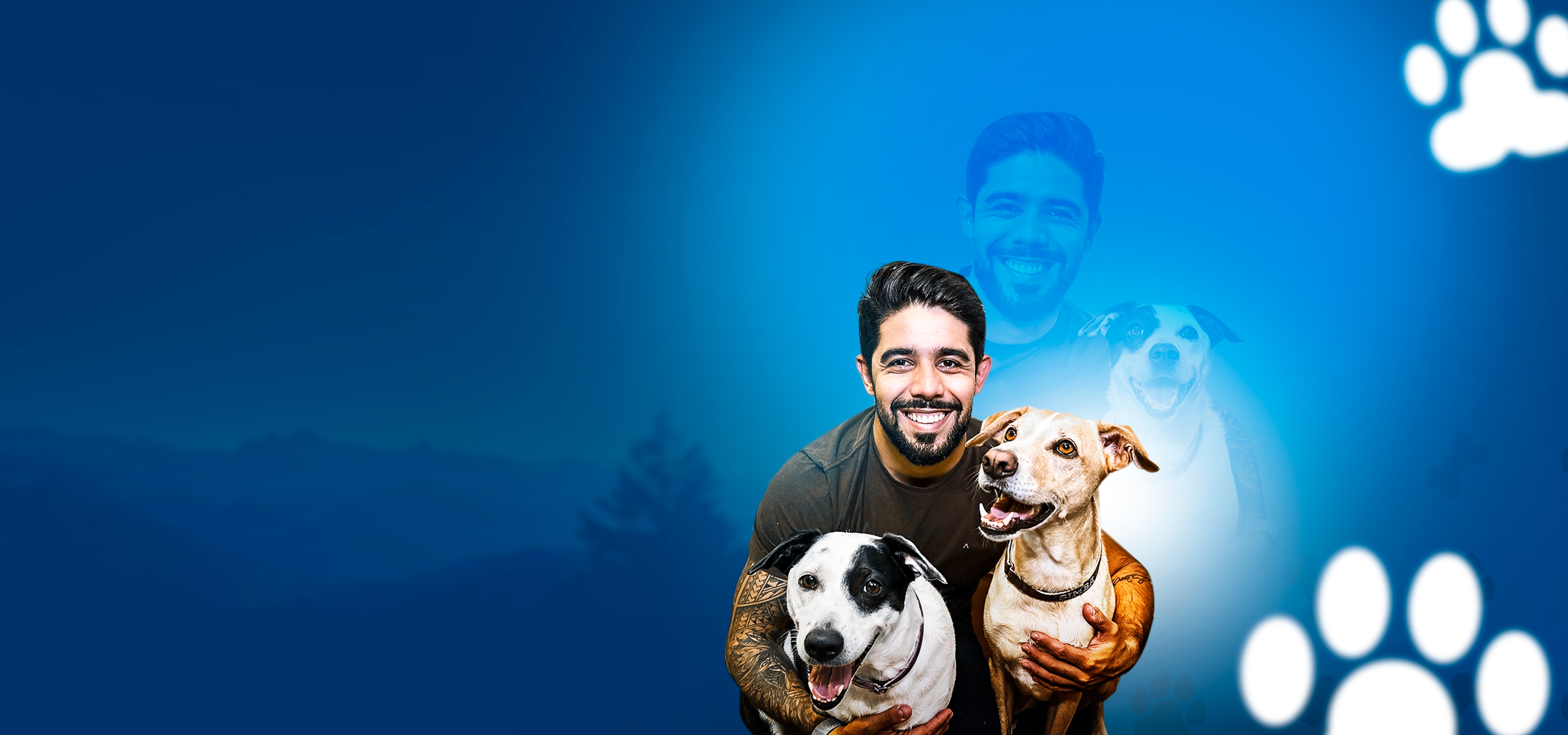 Foto de um cachorro